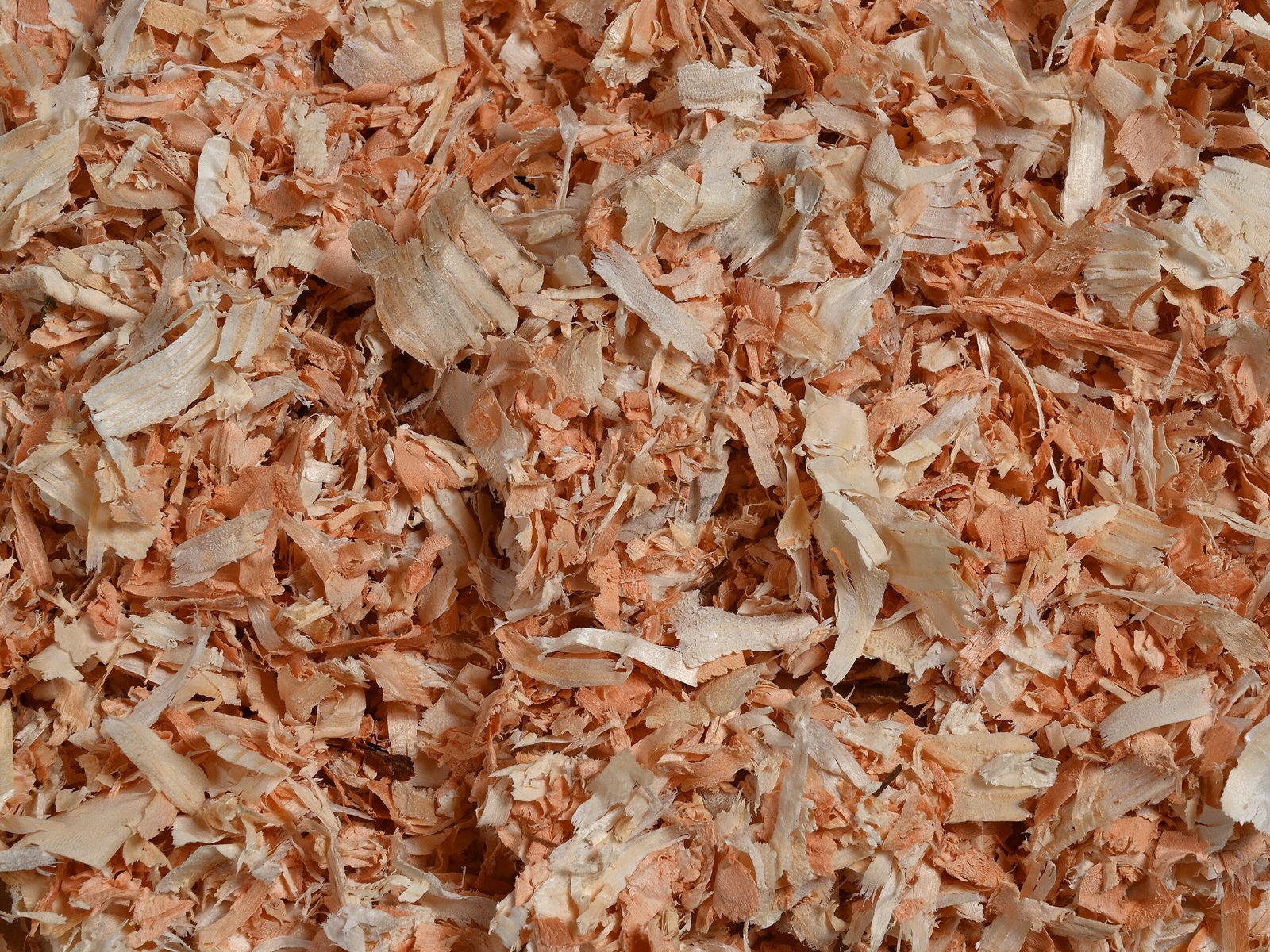 Health Benefits of Wood Shavings for Horses